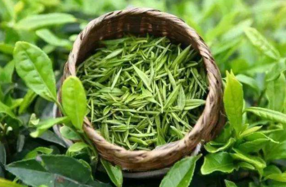 茶叶 茶叶